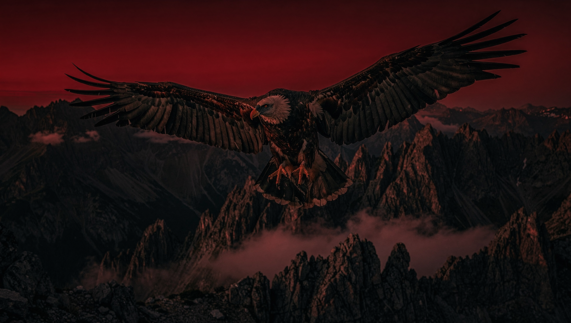 Bearded Vulture